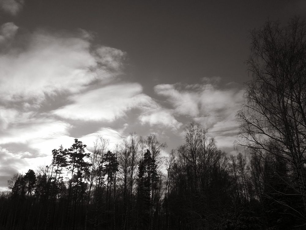 Photograph by Инна Голубева