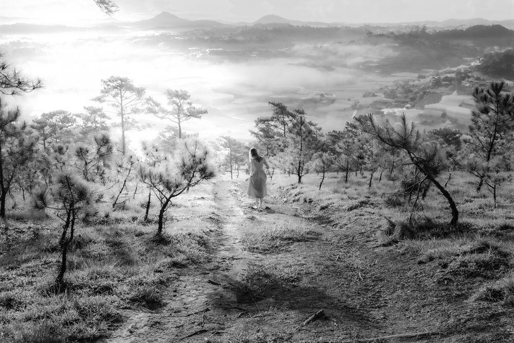 Photograph by Hoai Anh Dang