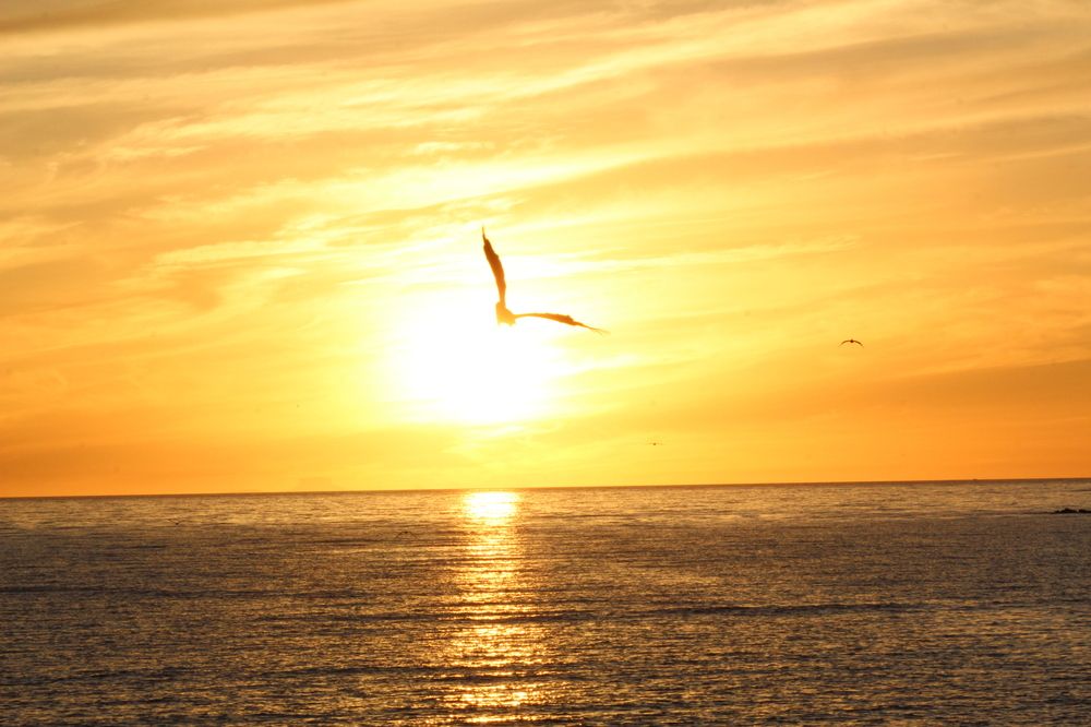 Photograph by Jorge Alberto Garcia Mondragon