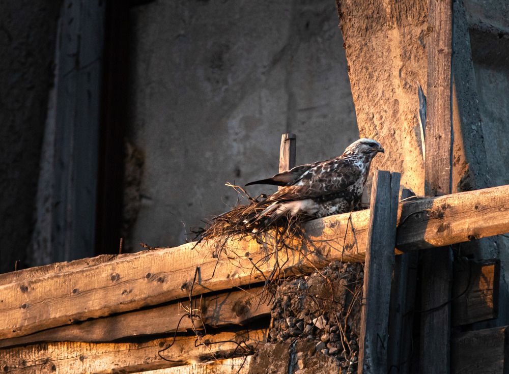 Photograph by Екатерина Лазуткина