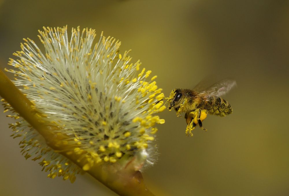Photograph by Светлана Карнаух