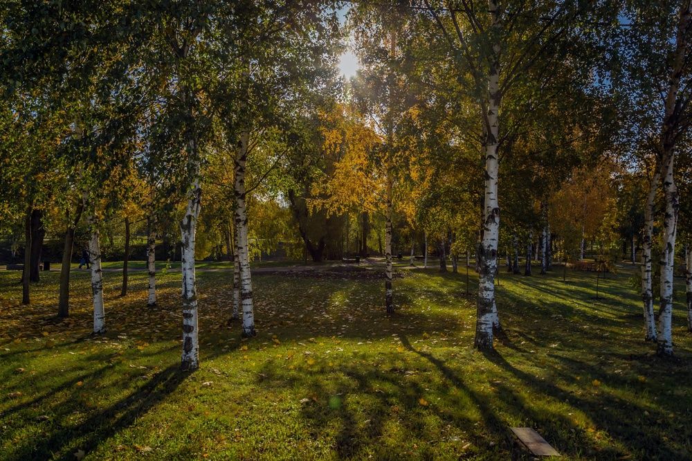 Photograph by Игорь Сидун