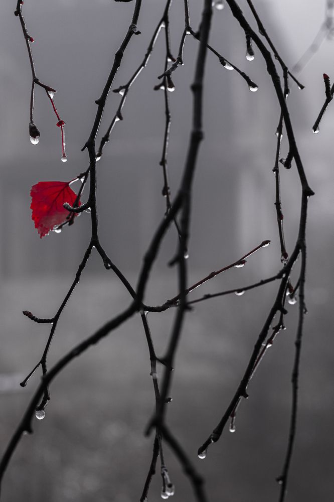 Photograph by Марина Кайгородова