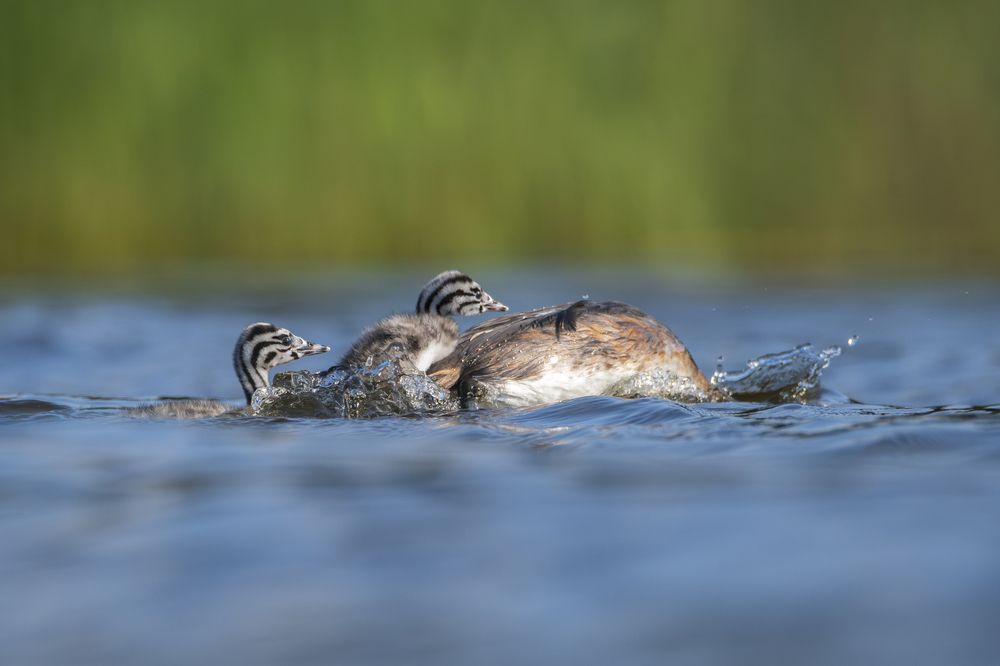 Photograph by Федорако Дмитрий