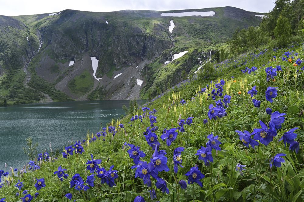 Photograph by Жанна Агафонова