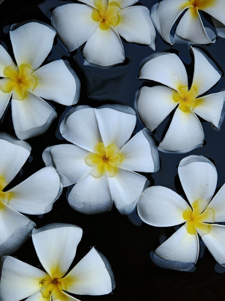 Photograph by Arik Chan