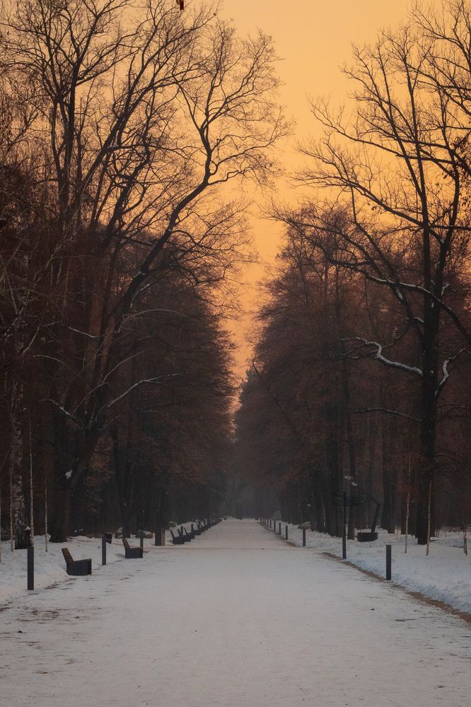 Photograph by Марина Кайгородова