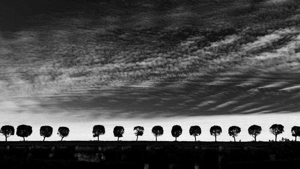 Photograph by Татьяна