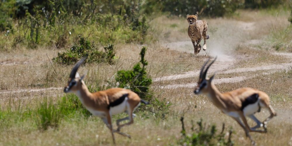 Photograph by Sanjay Risbood