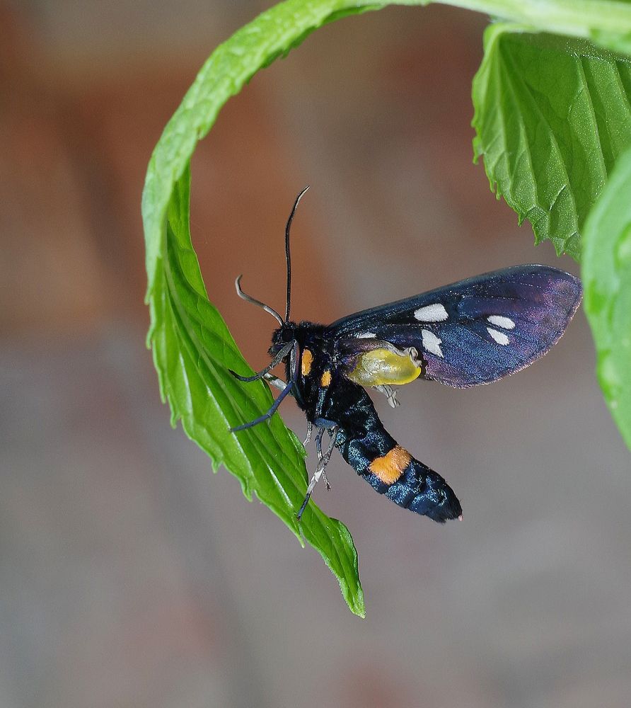 Фотография автора Сергей Гречихин