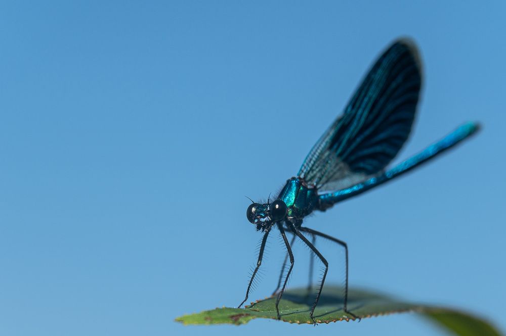 Photograph by Александр Щербаков