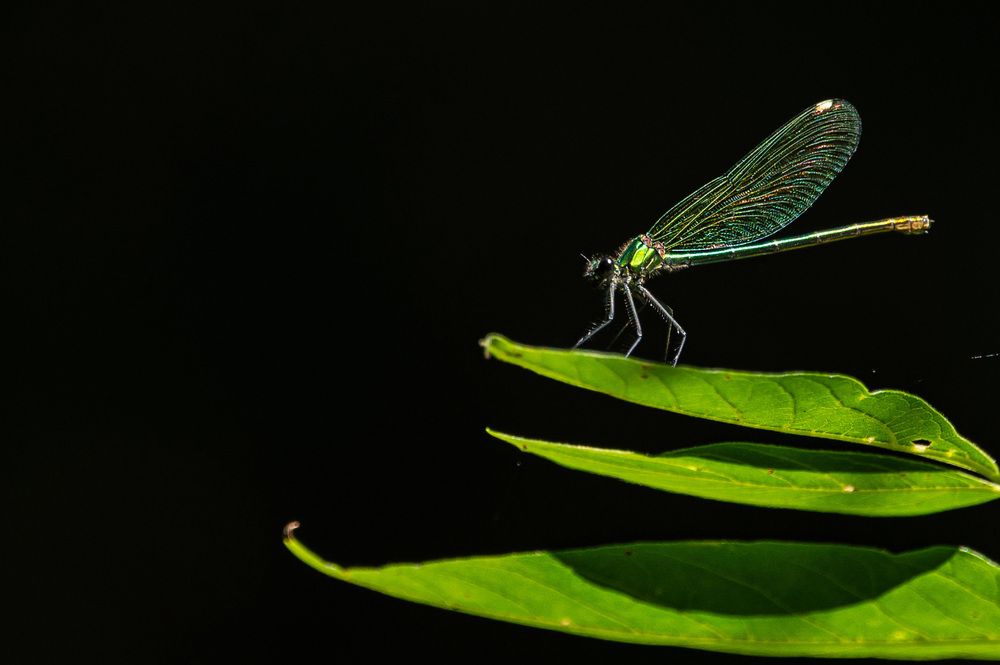 Photograph by Александр Щербаков