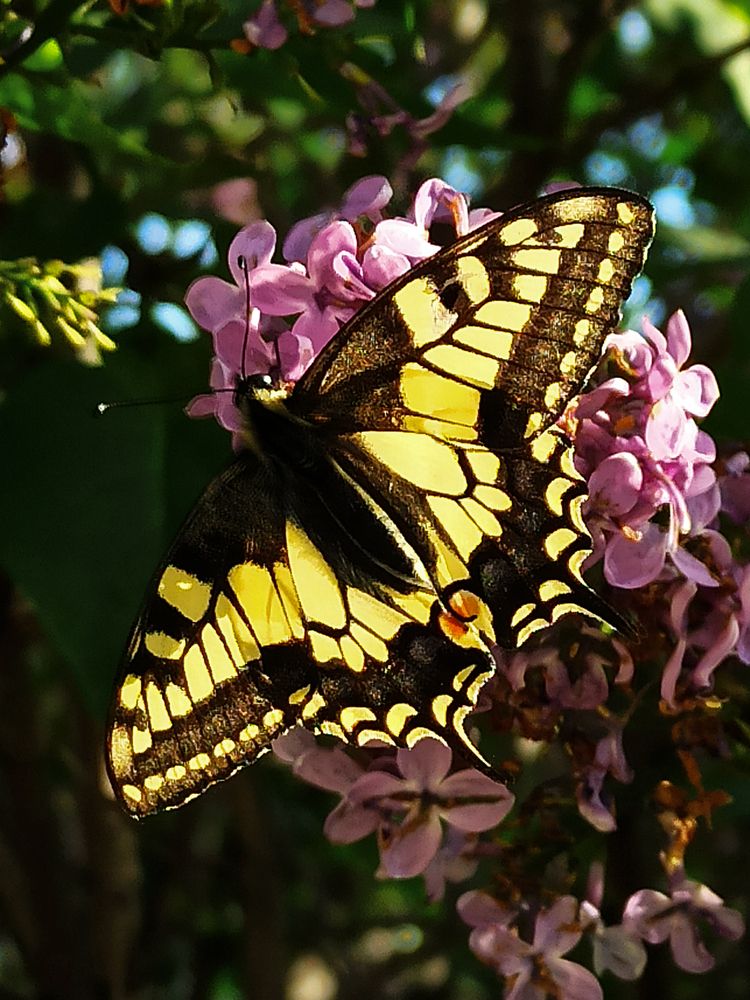 Photograph by Ирина Дегтярева