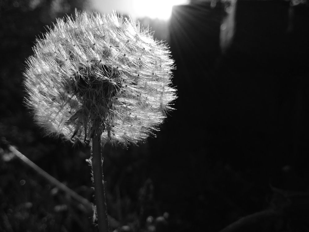 Photograph by Наталья Сорокина