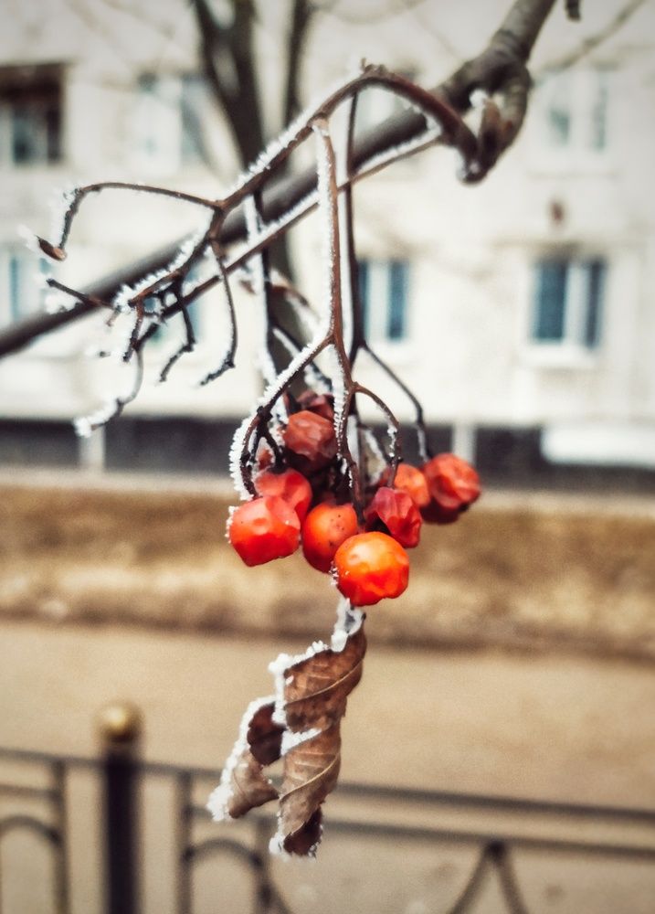 Photograph by Любовь Сухова