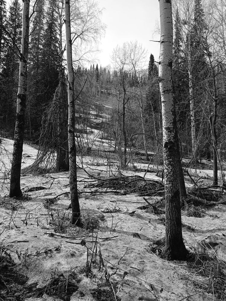 Photograph by Наталья Сорокина