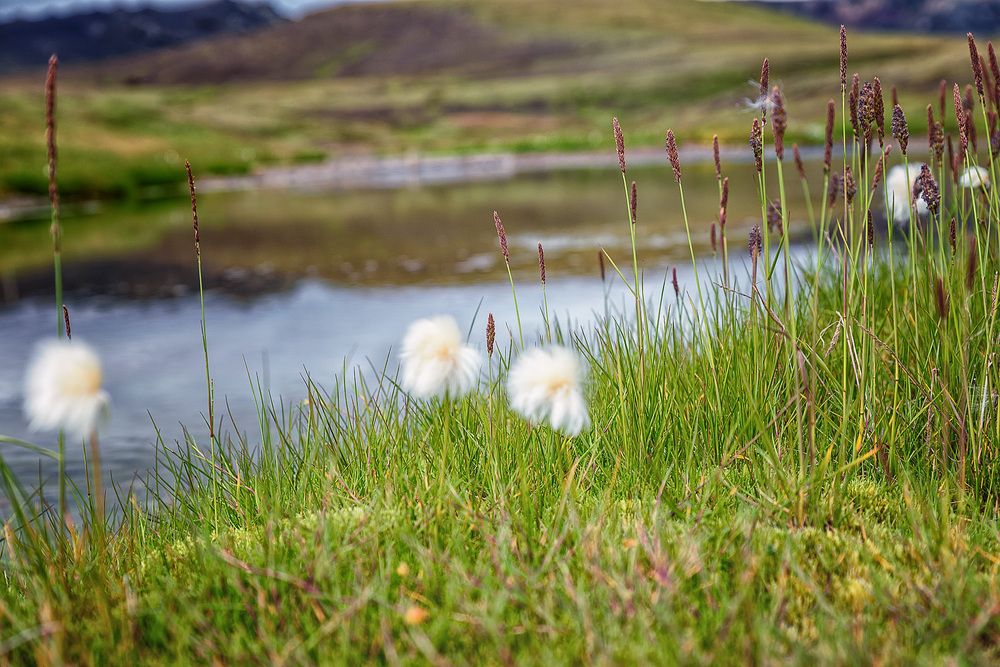 Photograph by Булгаков Сергей