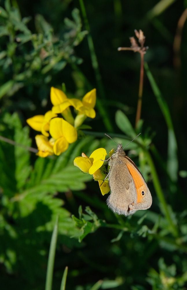 Photograph by Ирина Дегтярева