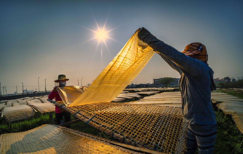 Фотография автора Hau Nguyen Vu