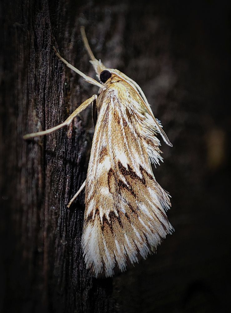 Photograph by Дмитрий Фетисов