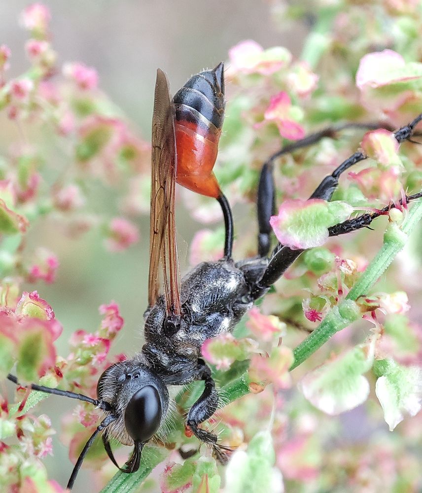 Photograph by Дмитрий Фетисов