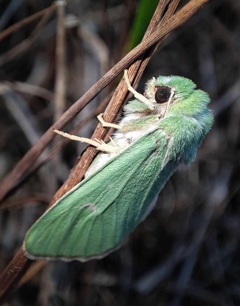 Photograph by Дмитрий Фетисов