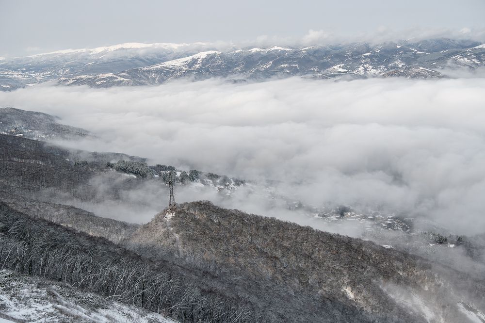 Фотография автора Андрей Симонов