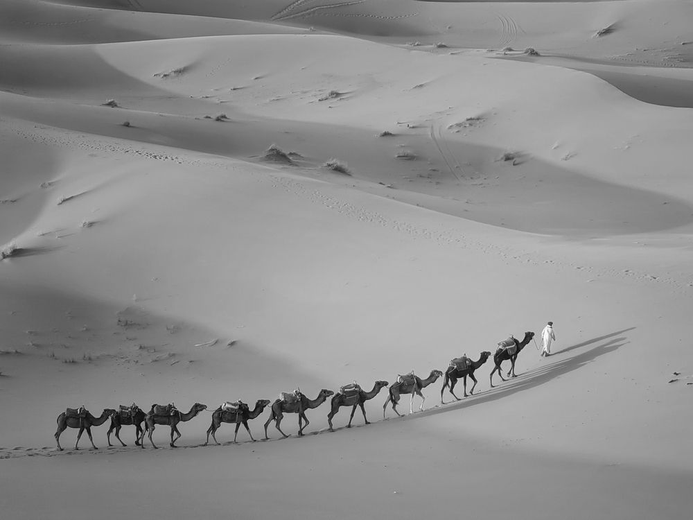 Photograph by Маджаров Костадин