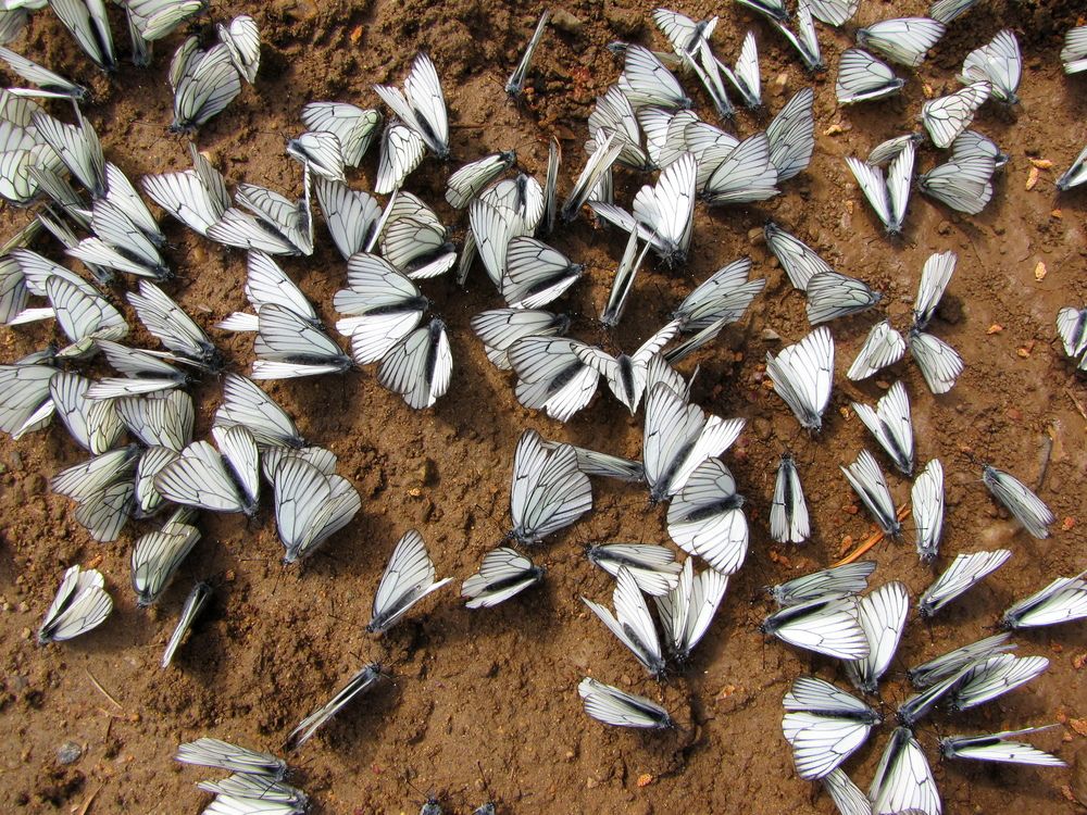 Photograph by Герасимов Игорь