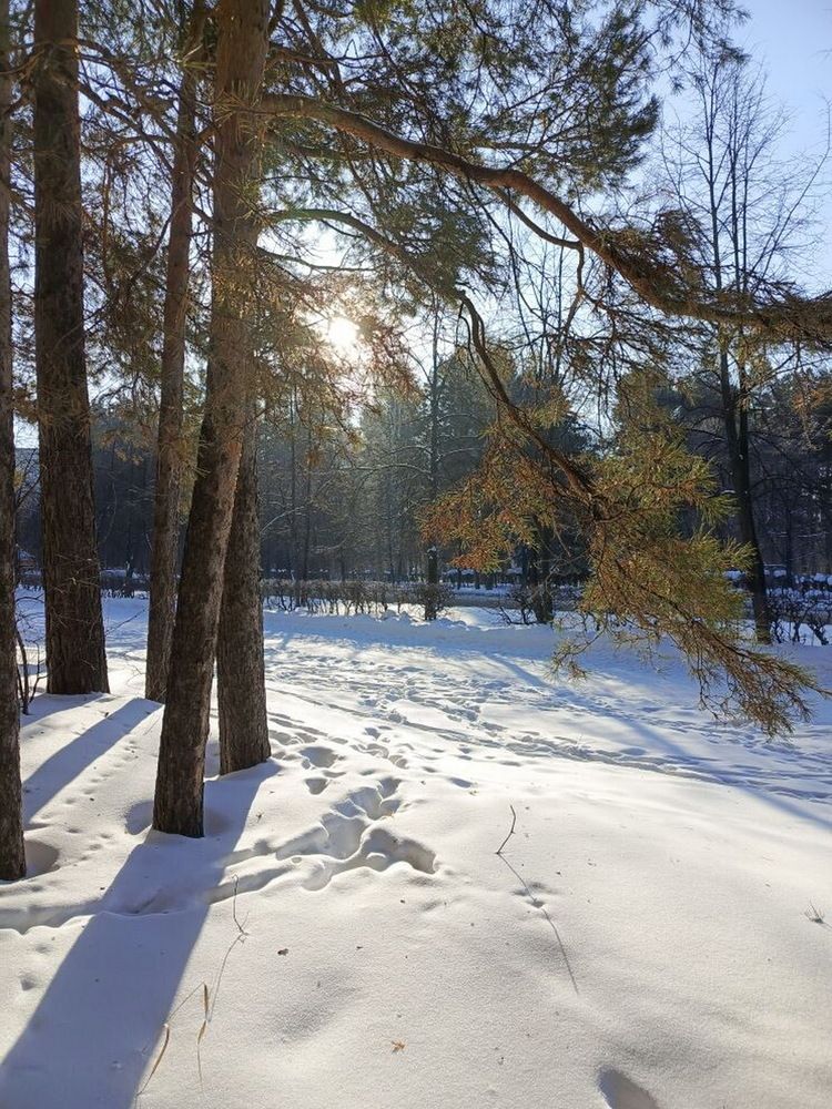 Утренняя свежесть