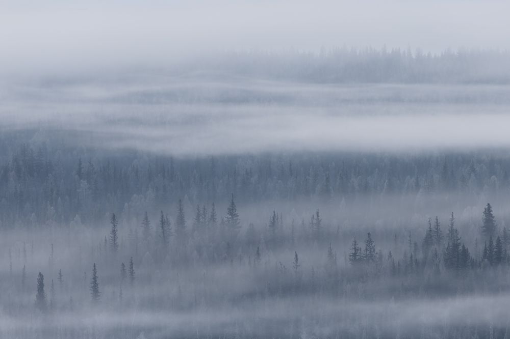 Photograph by Ekaterina Romanova