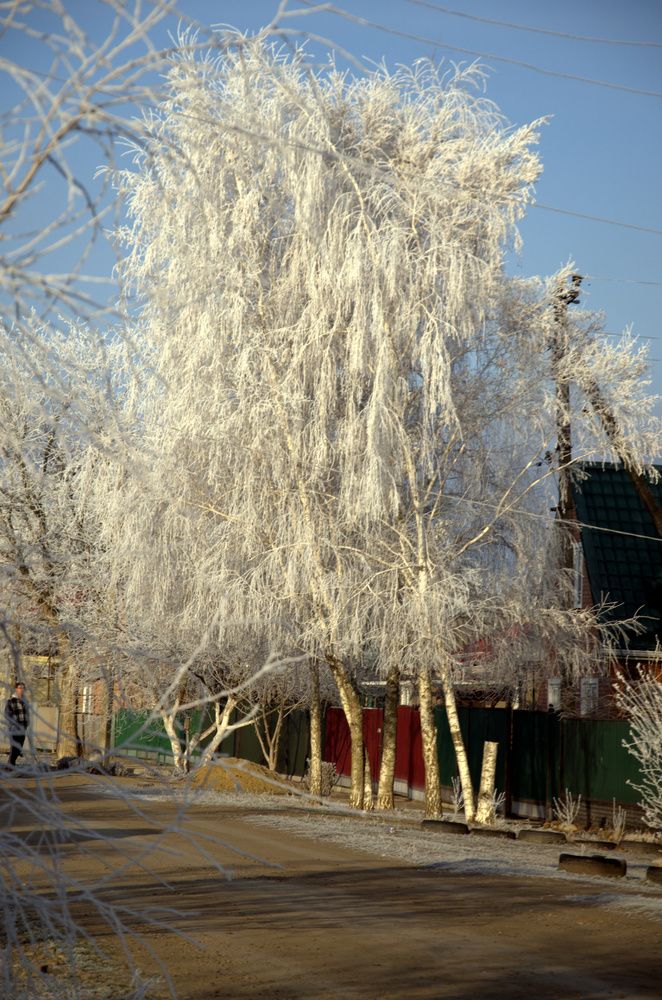 Сельское утро