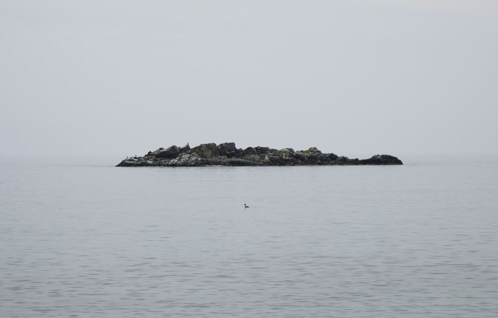 Photograph by Бурняшев