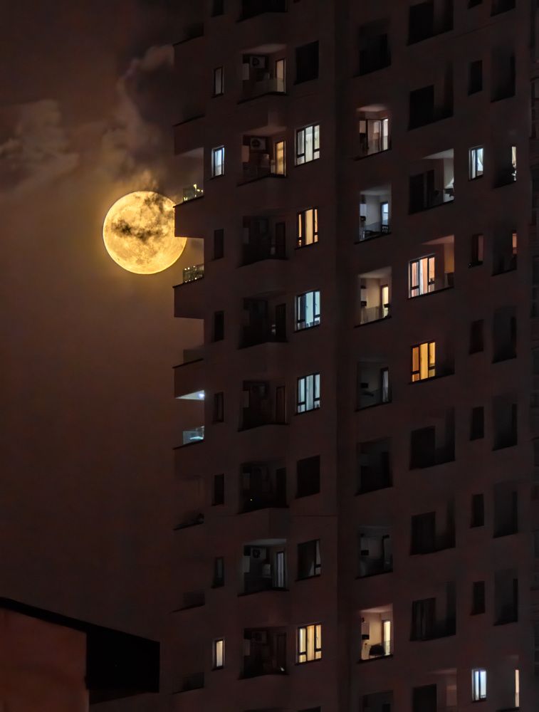 Photograph by Sabet Vahid