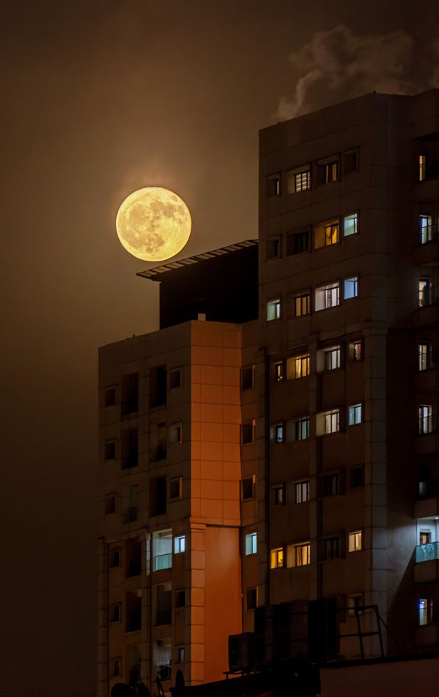 Photograph by Sabet Vahid