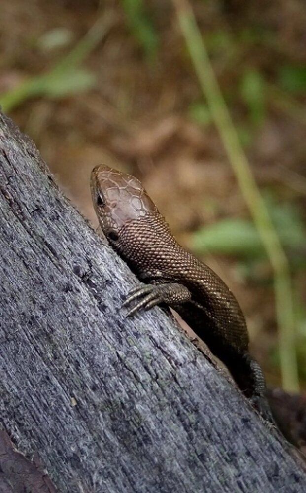 Photograph by Анастасия Дросу