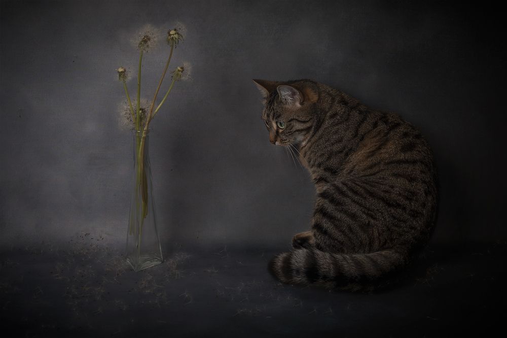 Photograph by Александр Чазов