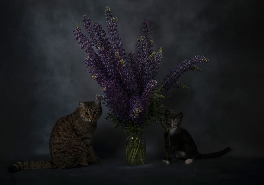 Photograph by Александр Чазов