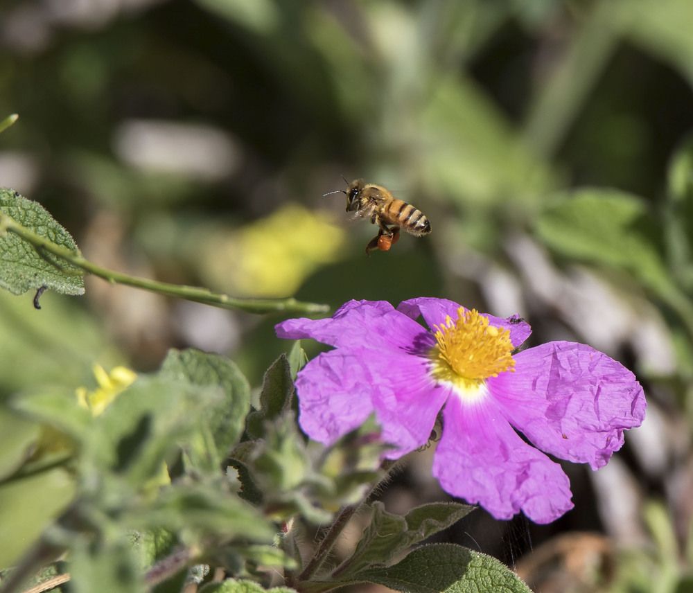 Photograph by Валентина Лопаткина