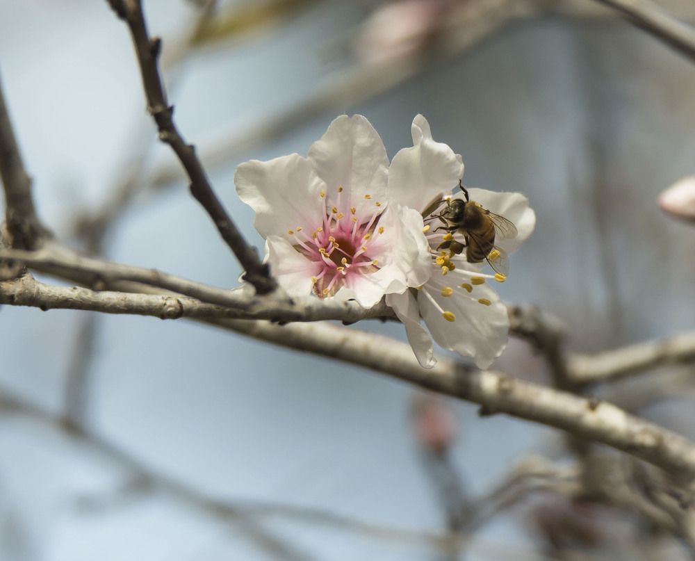 Photograph by Валентина Лопаткина