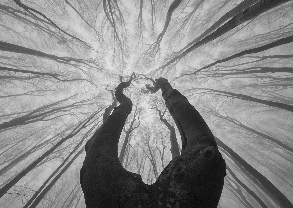 Photograph by Маджаров Костадин