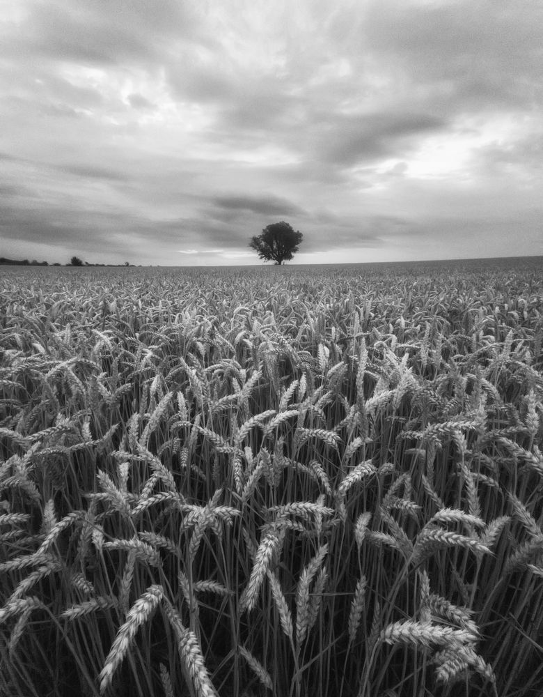 Photograph by Маджаров Костадин