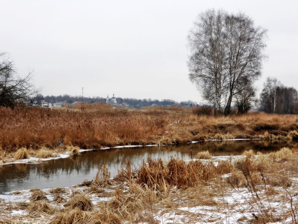 Photograph by Леонид Шнейдерман