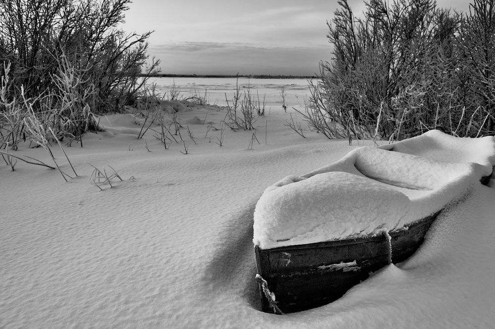 Фотография автора Totoro