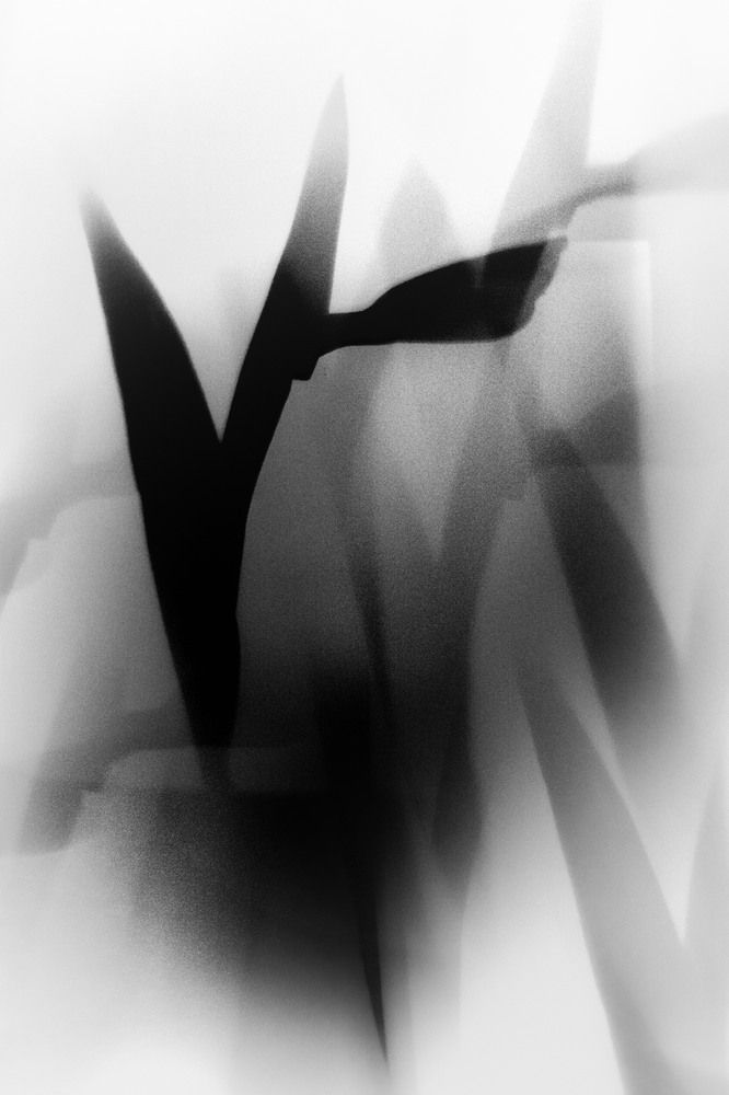 Photograph by Елизавета Воронина