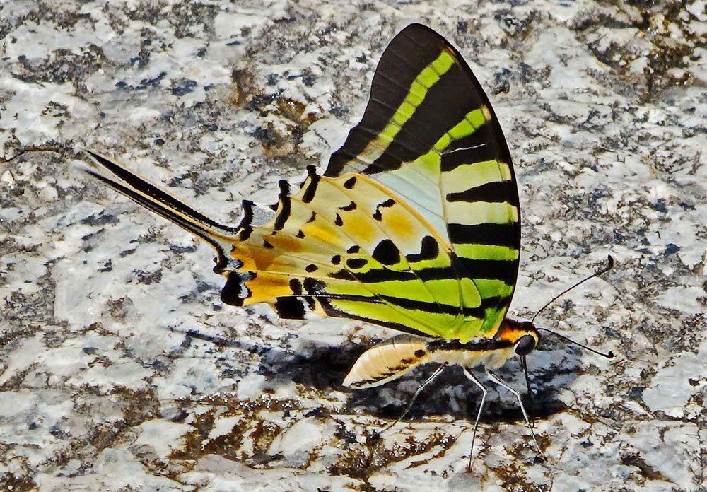 Photograph by Игорь Пшеничников