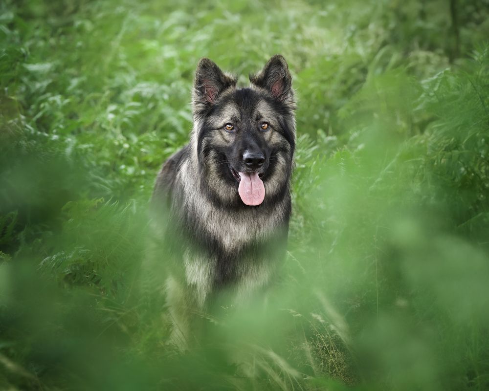 Photograph by Natalie Taylor