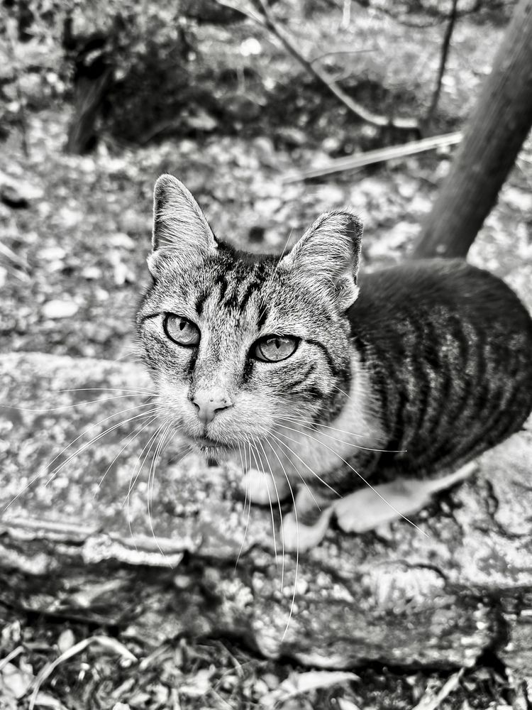 Photograph by Ксения Прицепа