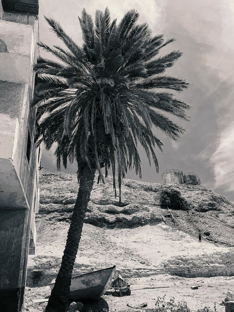 Photograph by Марина Трейер