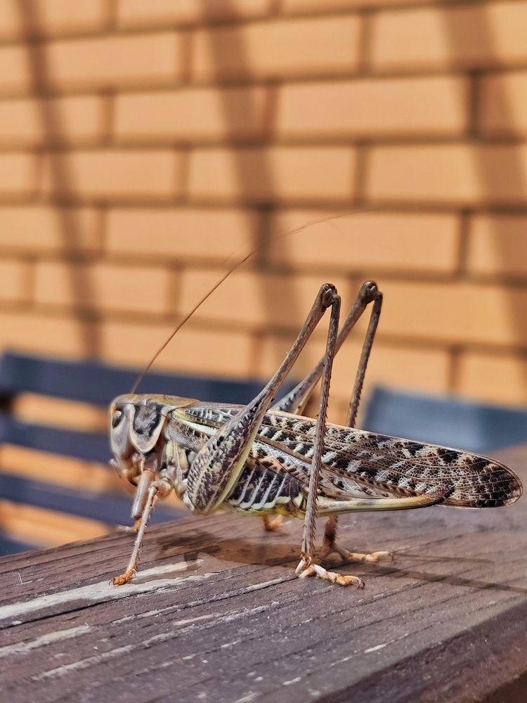 Photograph by Олеся Хижко